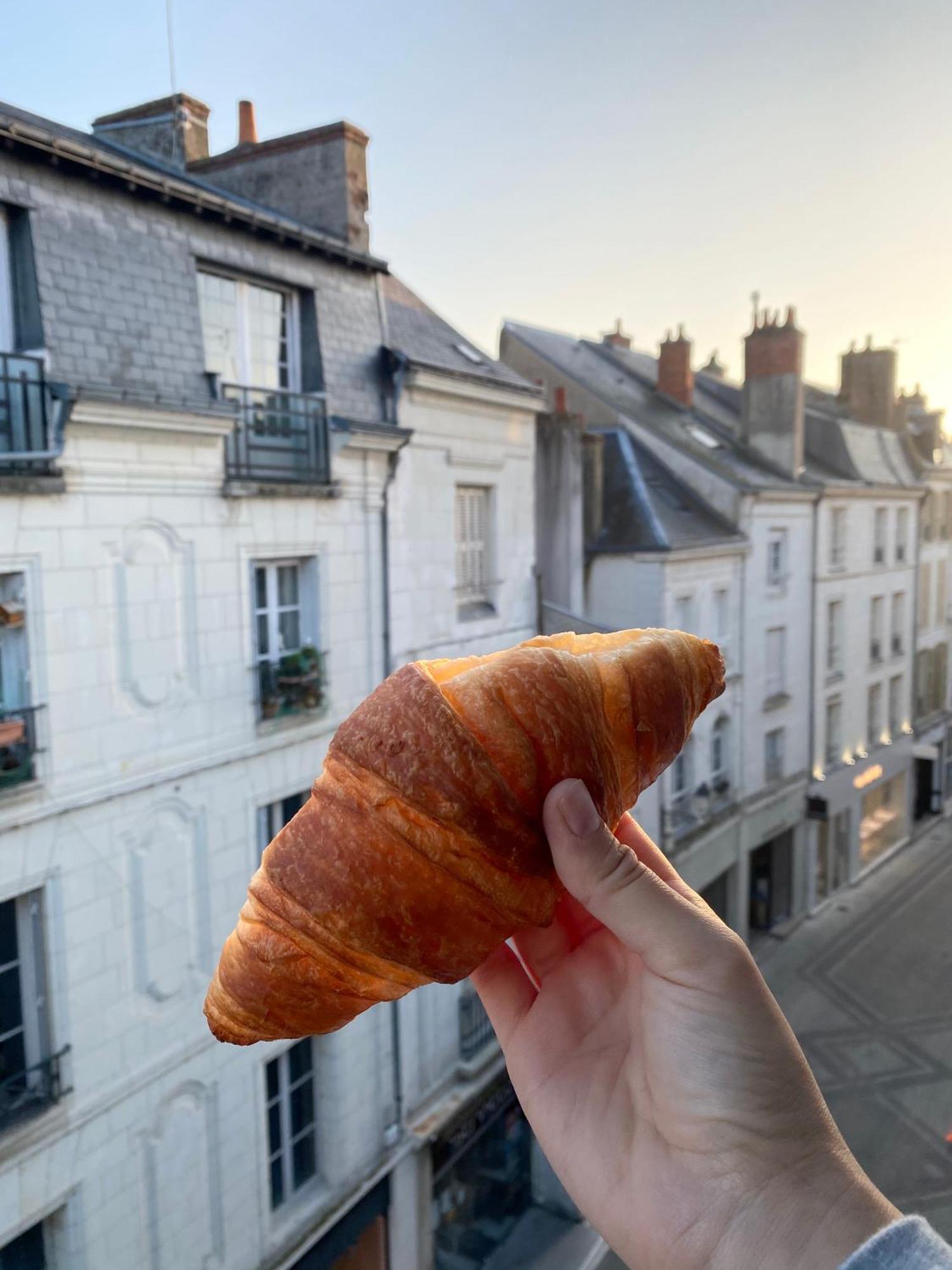 Magnifique Logement Au Pied Du Chateau Blois Buitenkant foto