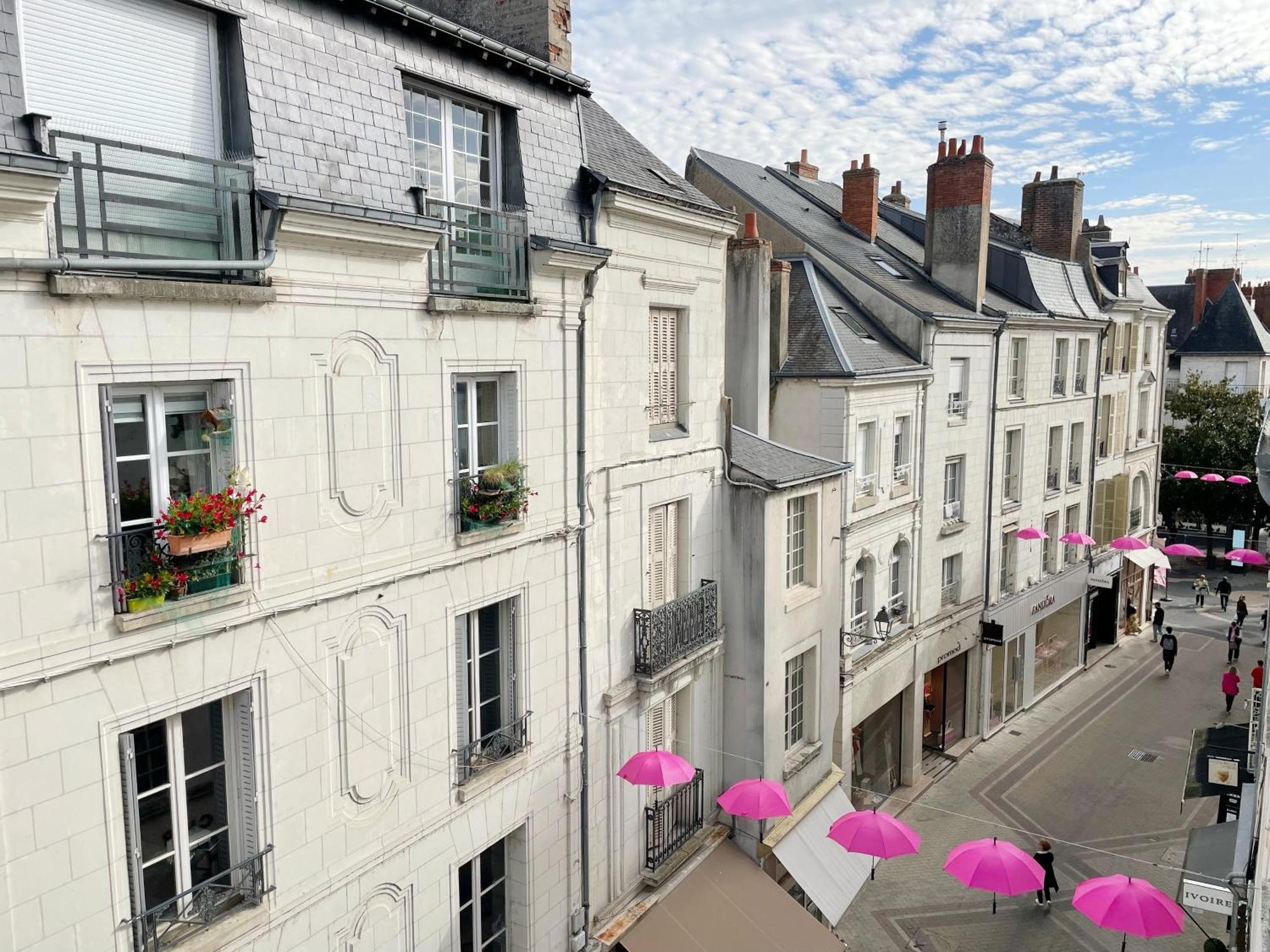 Magnifique Logement Au Pied Du Chateau Blois Buitenkant foto